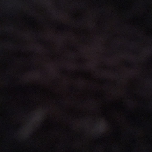 Meet your Posher, Aaliyah - Picture 1 of 1